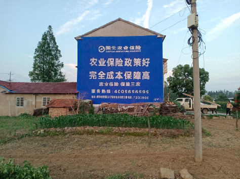 叶县墙体广告为何受追捧?