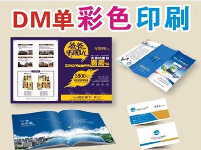 叶县单页印刷，色彩搭配简单。
